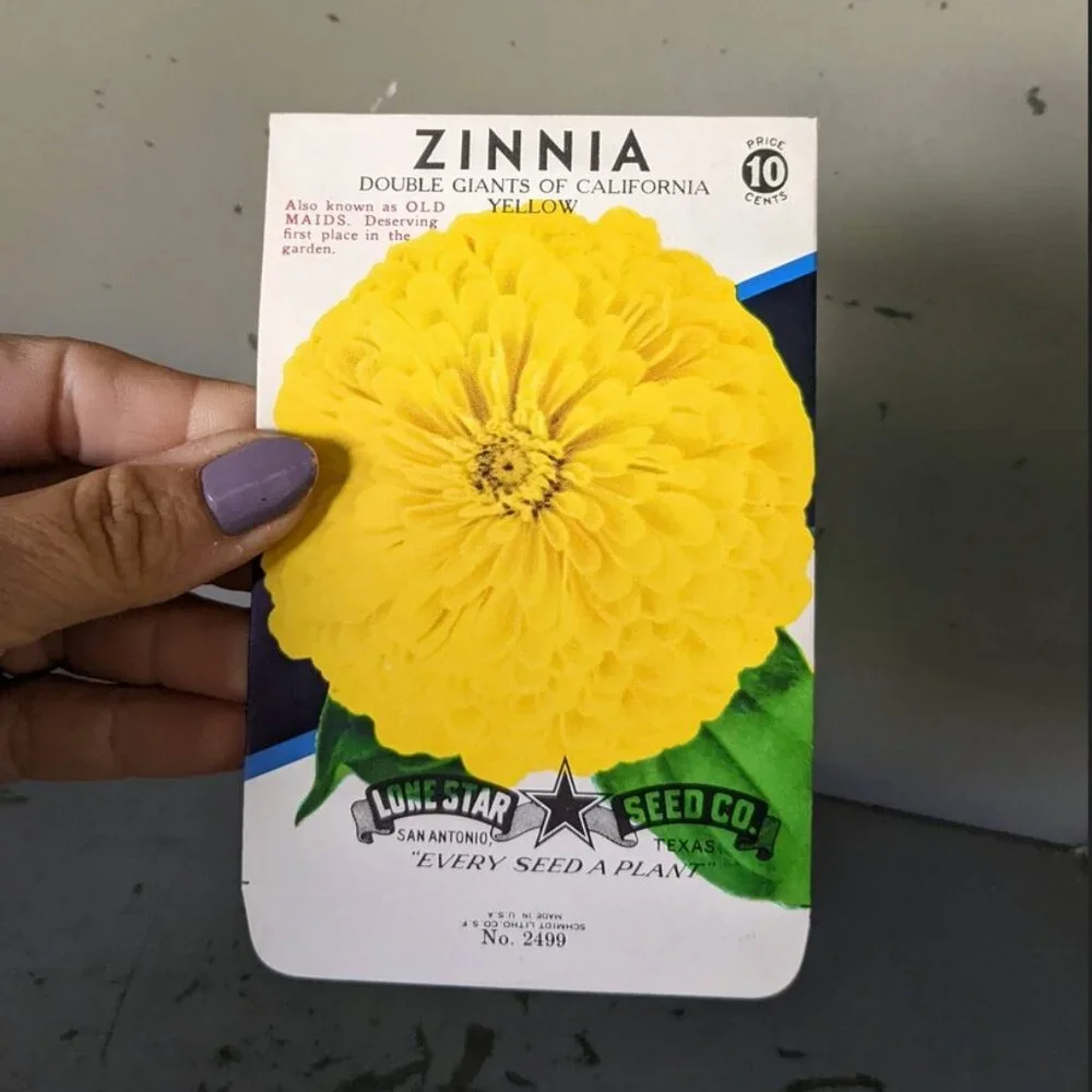 Vintage Yellow Zinnia Empty Seed Packets set of 4 - Picture 2 of 3